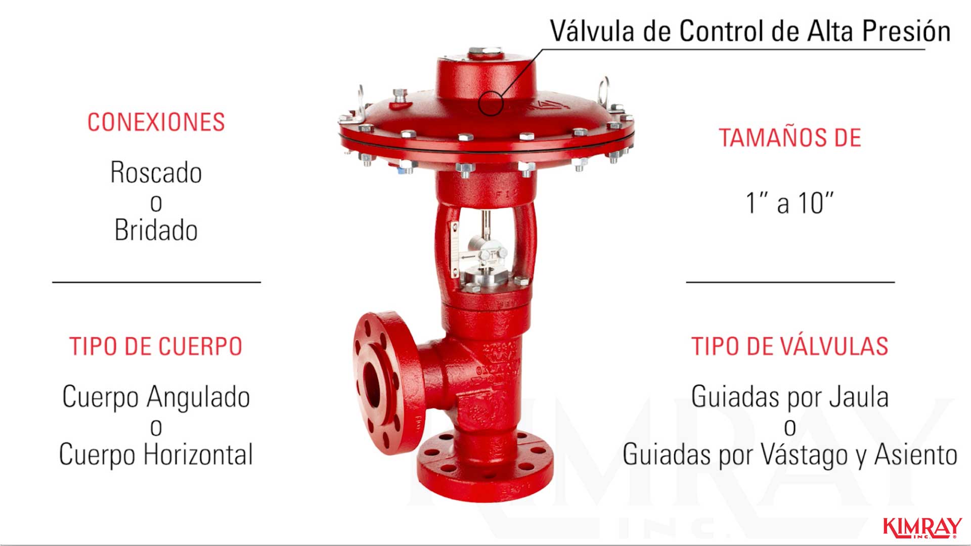 Cómo标识los components Clave en su Paquete de Pálvula de Control